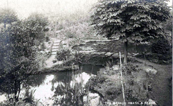 Pond at The Grange about 1920